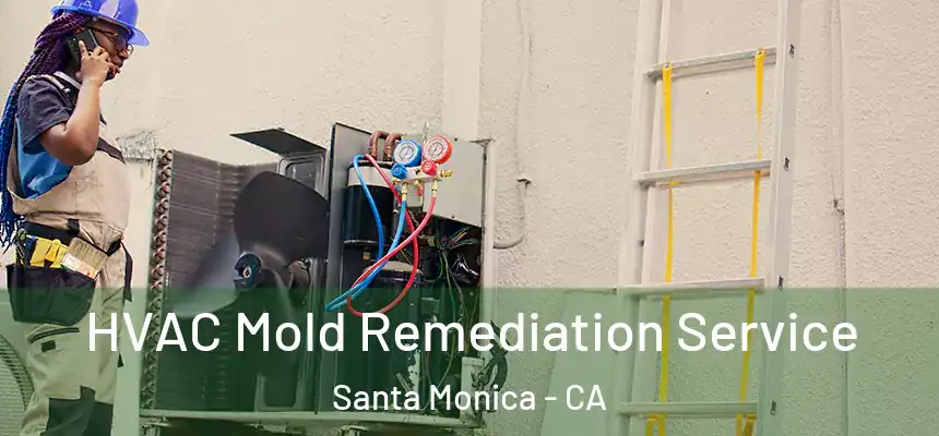 HVAC Mold Remediation Service Santa Monica - CA