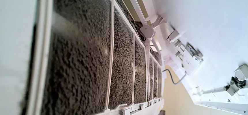 Preventive Air Duct Bacteria Removal in Santa Monica