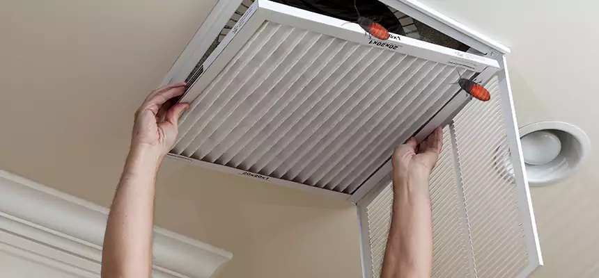Preventive Cockroach-Proofing for Ducts in Santa Monica