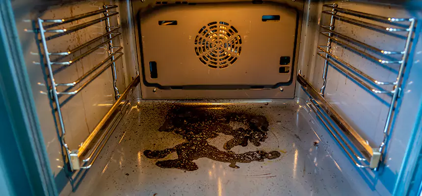 Our Dryer Vent Mold Cleaning Services in Santa Monica, CA