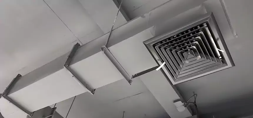 Our Pest Removal From Ducts Services in Santa Monica, CA