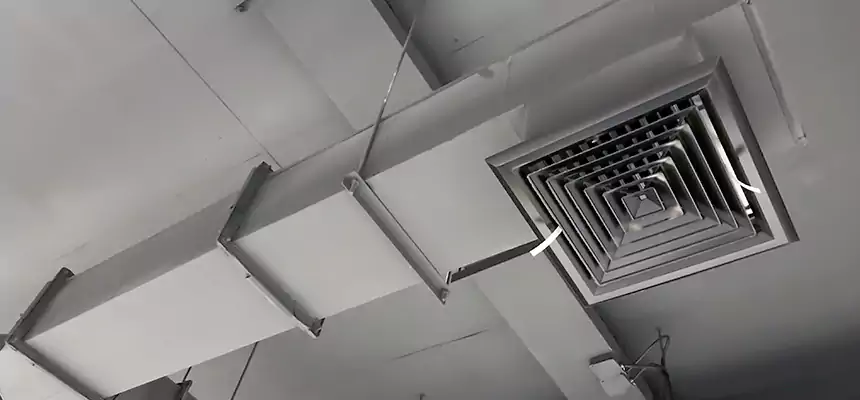 Our Rodent Droppings In Vents Services in Santa Monica, CA