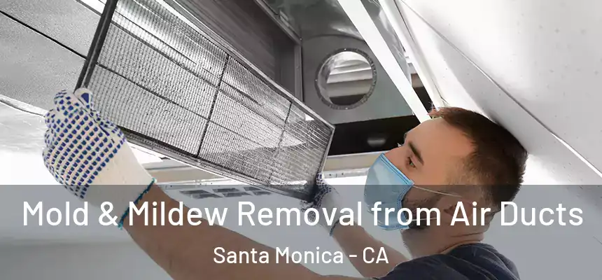 Mold & Mildew Removal from Air Ducts Santa Monica - CA