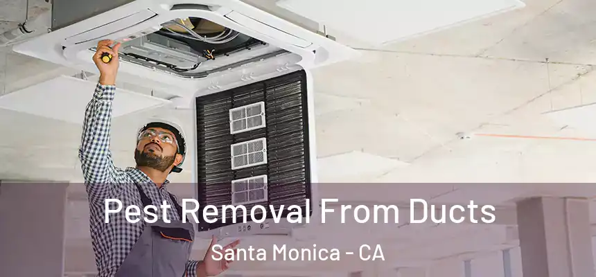 Pest Removal From Ducts Santa Monica - CA