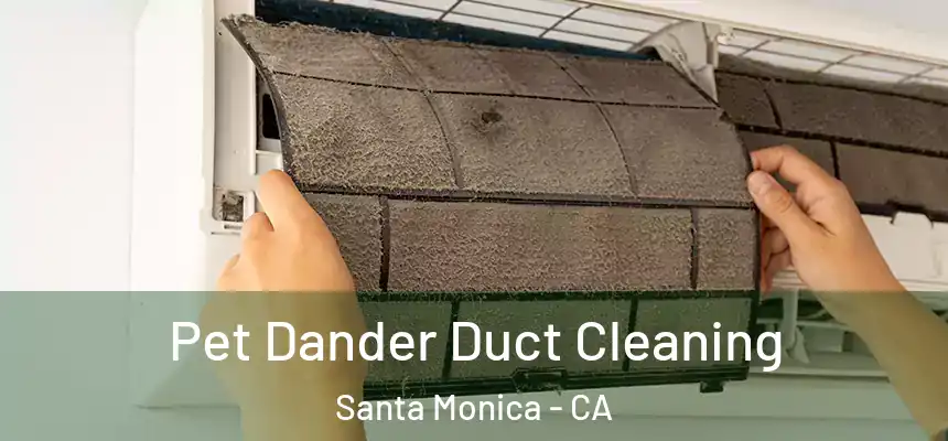 Pet Dander Duct Cleaning Santa Monica - CA