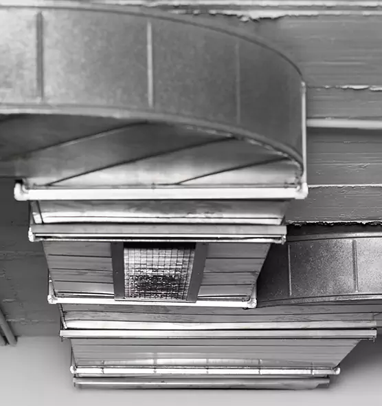 Professional Air Duct Pest Removal in Santa Monica, CA