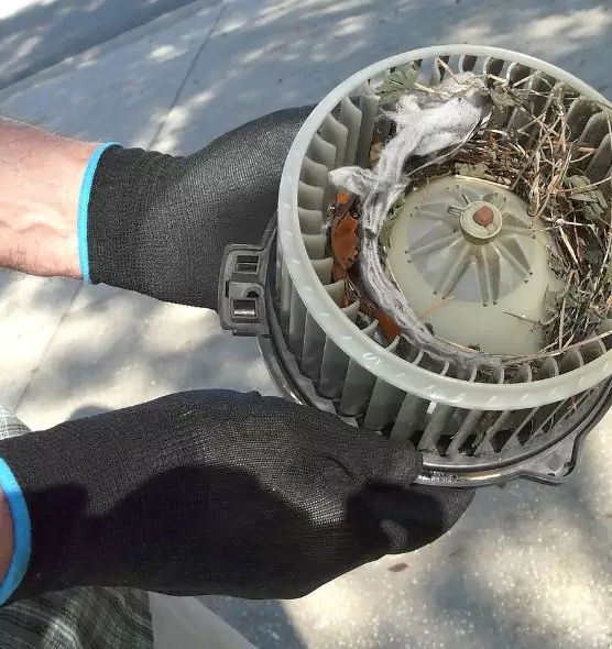 About Air Duct Rat Removal in Santa Monica, CA