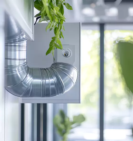 Professional Eco-Safe Dryer Vent Cleaning in Santa Monica, CA