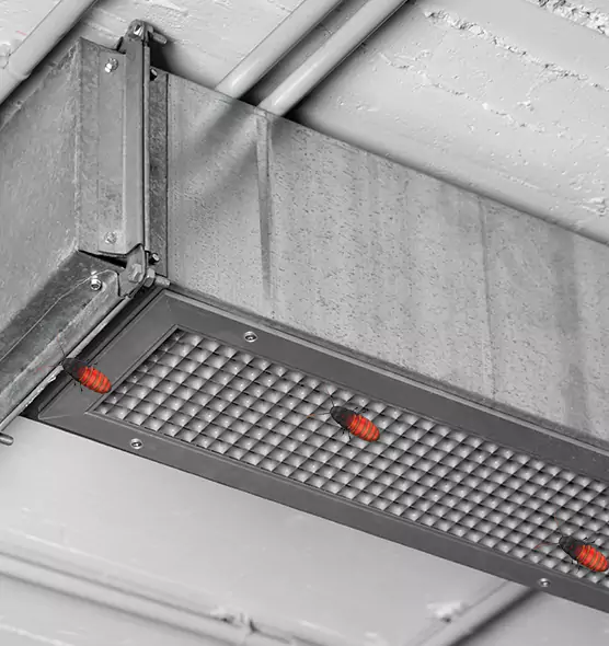 Affordable Insect Removal from Air Ducts in Santa Monica, CA