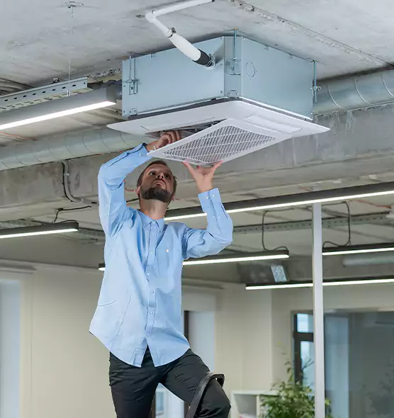 Advanced Rodent Droppings In Vents in Santa Monica, CA