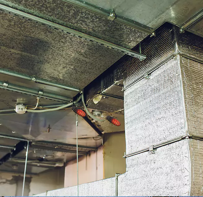 Why Homeowners & Businesses Trust Us in Santa Monica, CA?