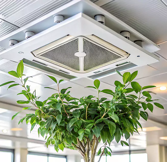 Why Homeowners & Businesses Trust Us in Santa Monica, CA?