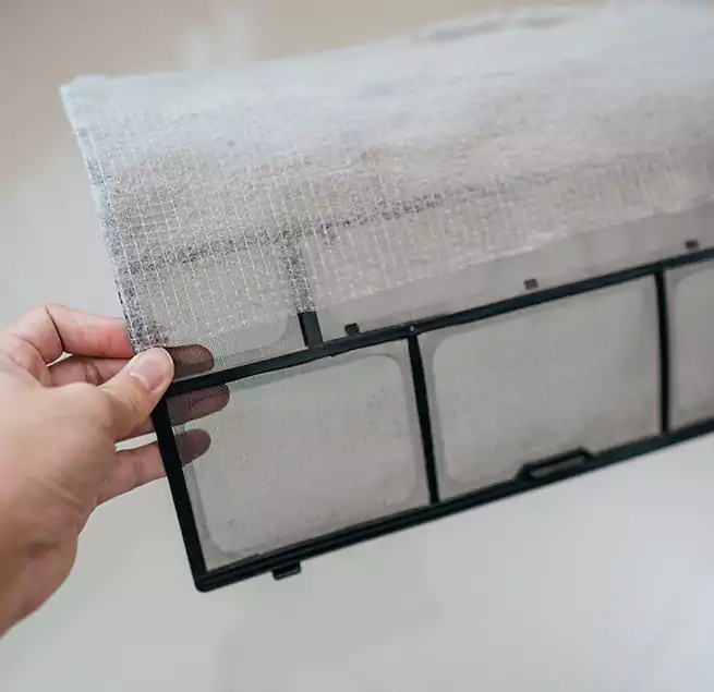 Why Homeowners & Businesses Trust Us in Santa Monica, CA?