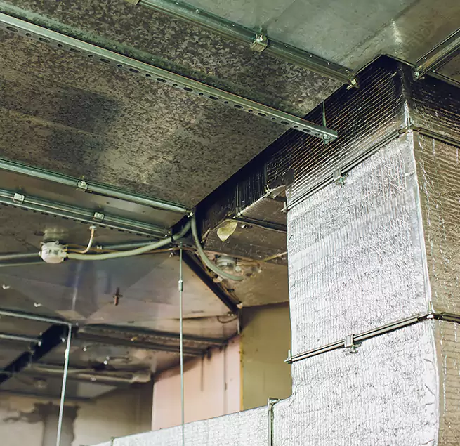 Why Homeowners & Businesses Trust Us in Santa Monica, CA?