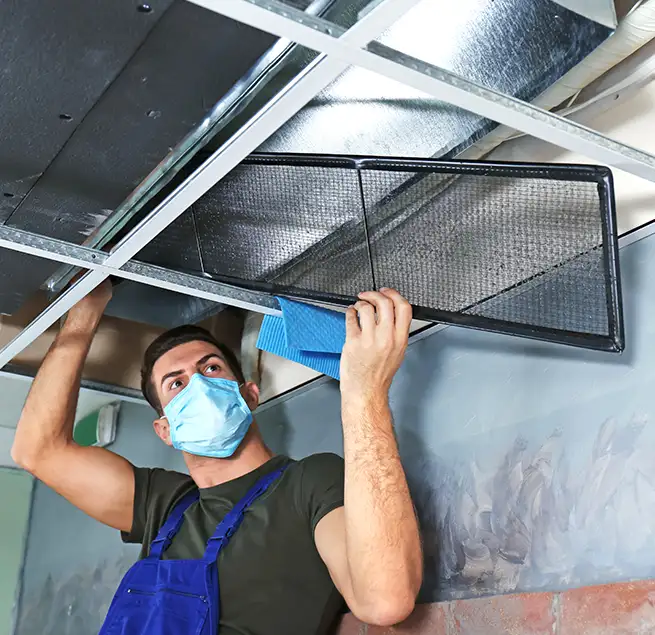 Why Homeowners & Businesses Trust Us in Santa Monica, CA?